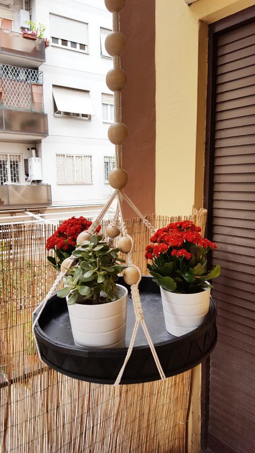 Domus Roma 호텔 외부 사진